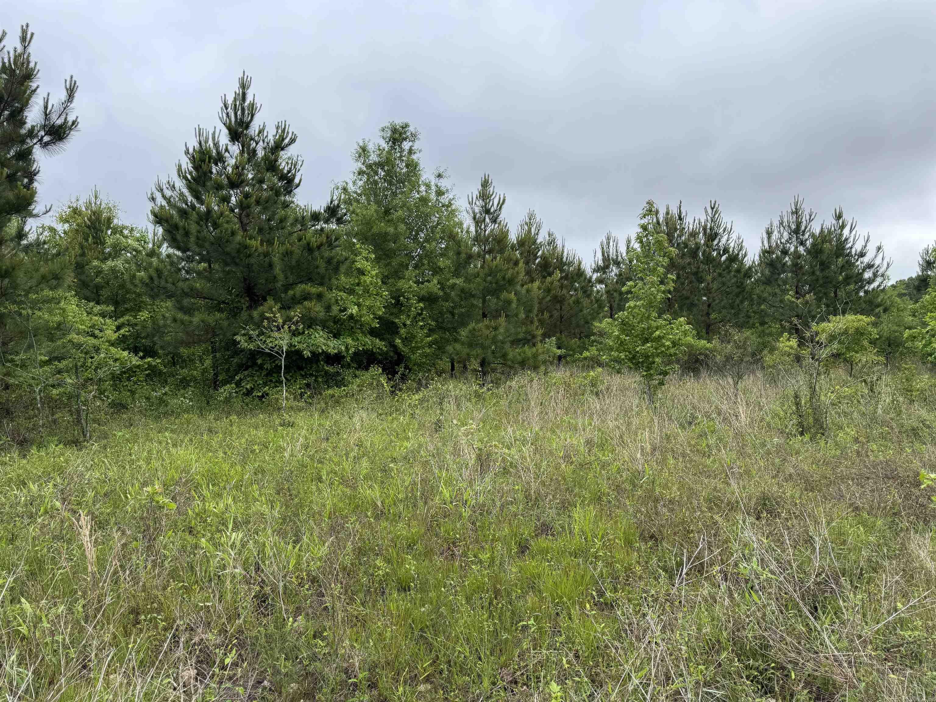 000 S River Rd & Mail Route Rd  West Point, AR