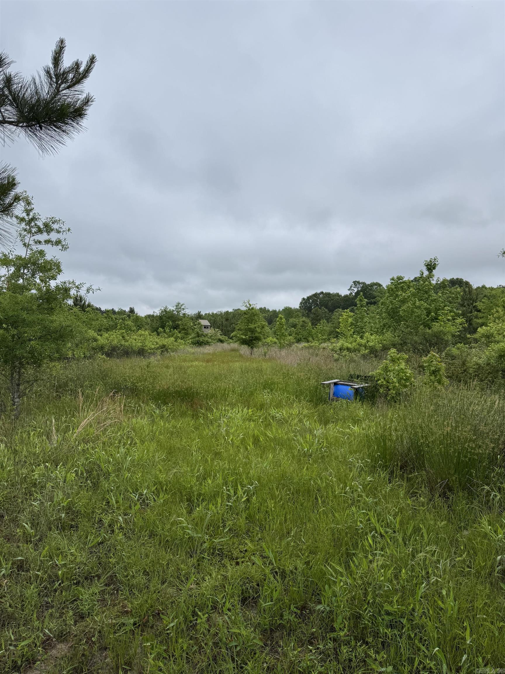 000 S River Rd & Mail Route Rd  West Point, AR