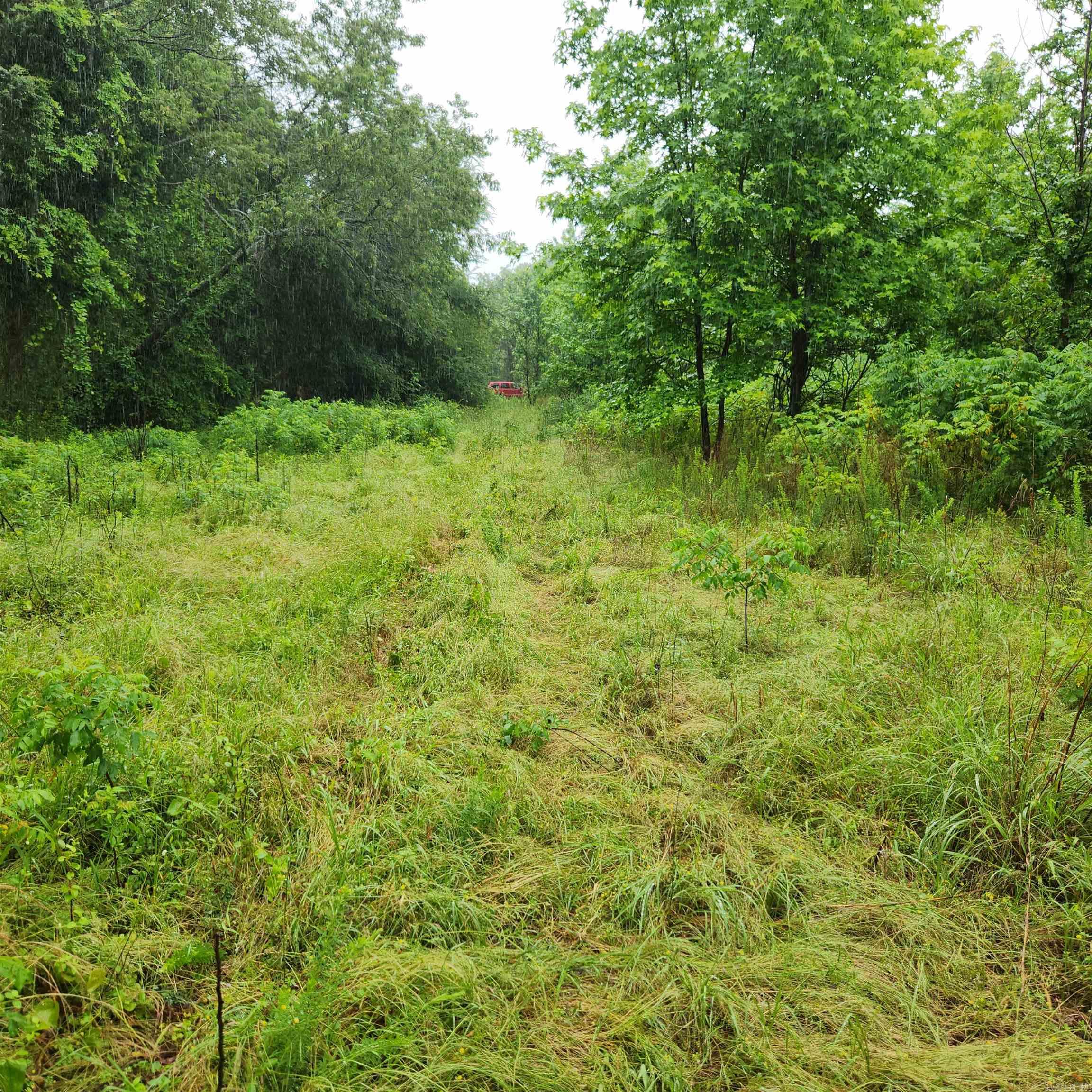 2852 County Road 3411  Clarksville, AR