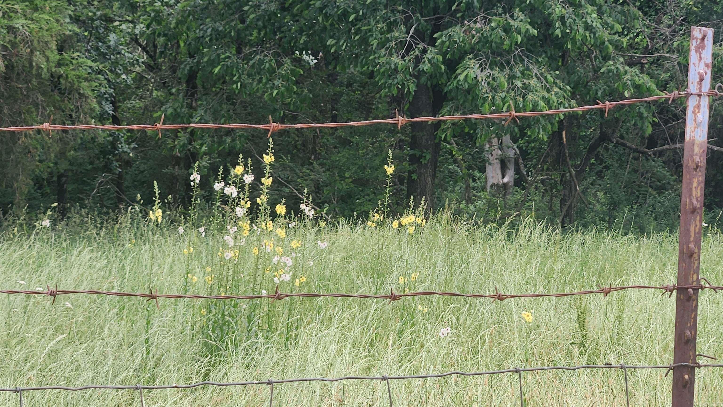 TBD  Murphy Rd  Norman, AR
