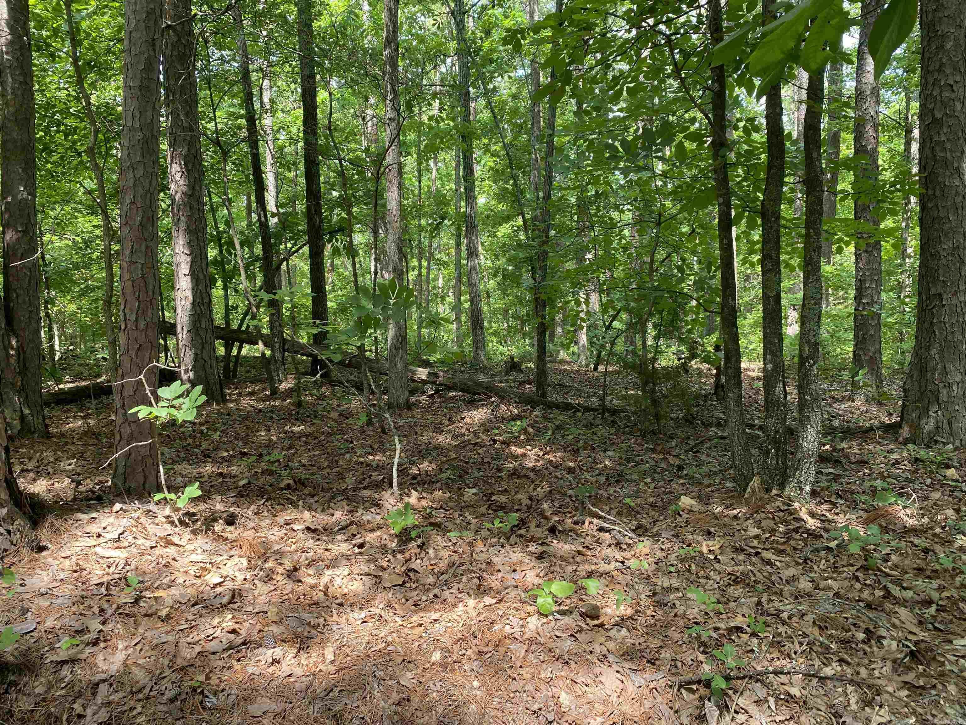 001-03695-000  Woodhill  Yellville, AR