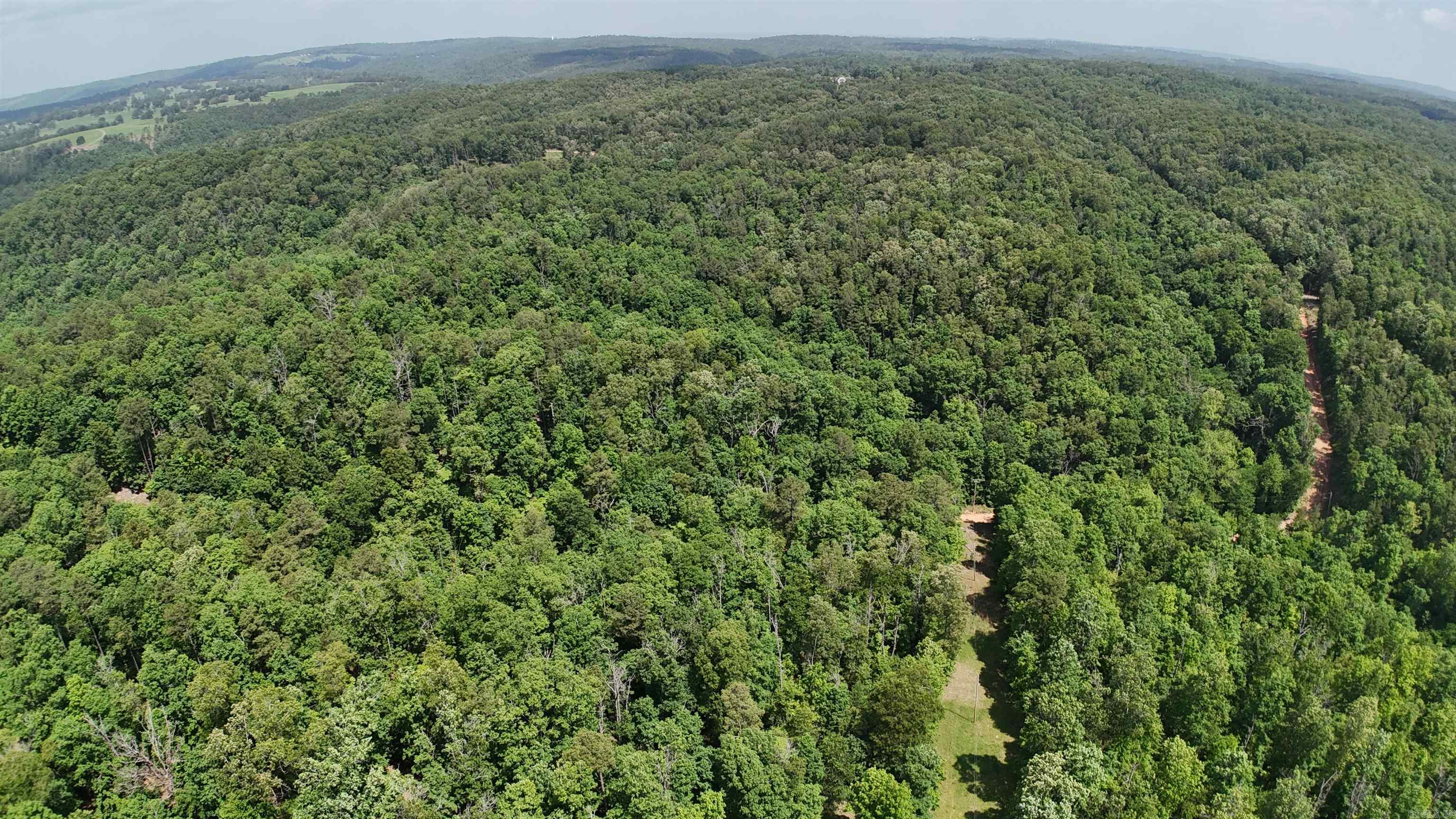 001-03695-000  Woodhill  Yellville, AR
