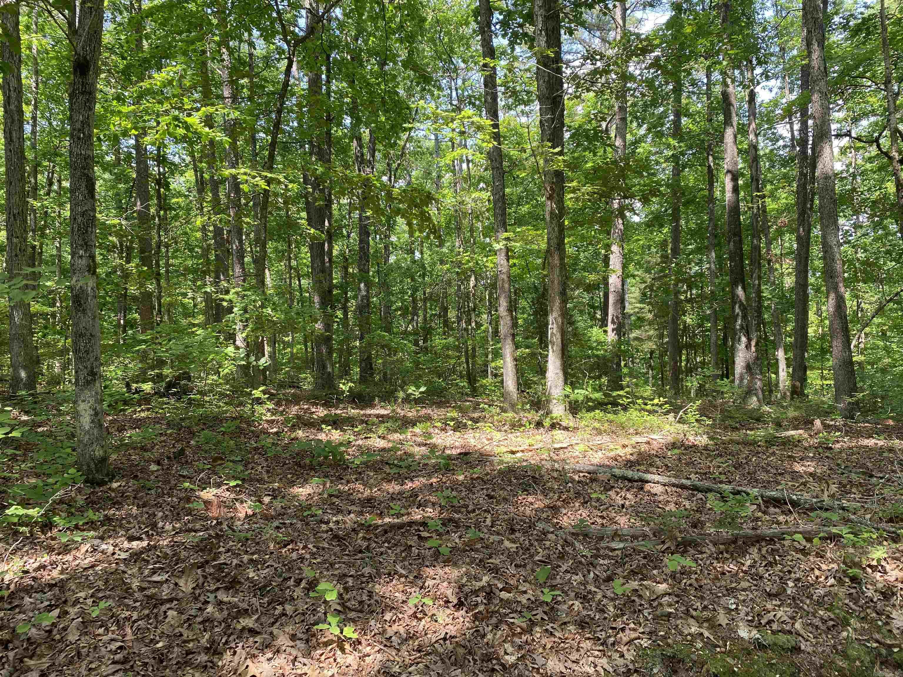 001-03695-000  Woodhill  Yellville, AR