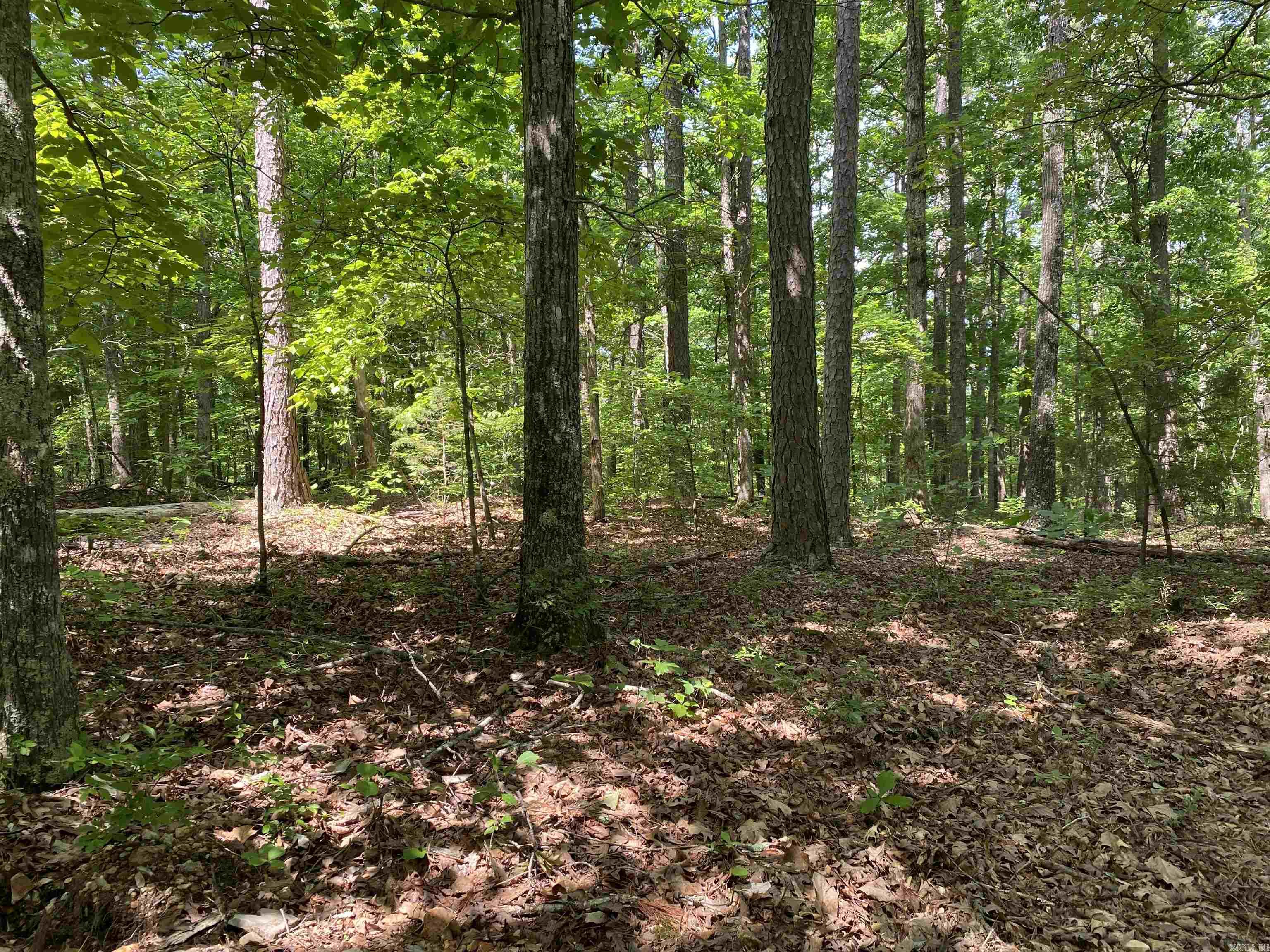 001-03695-000  Woodhill  Yellville, AR
