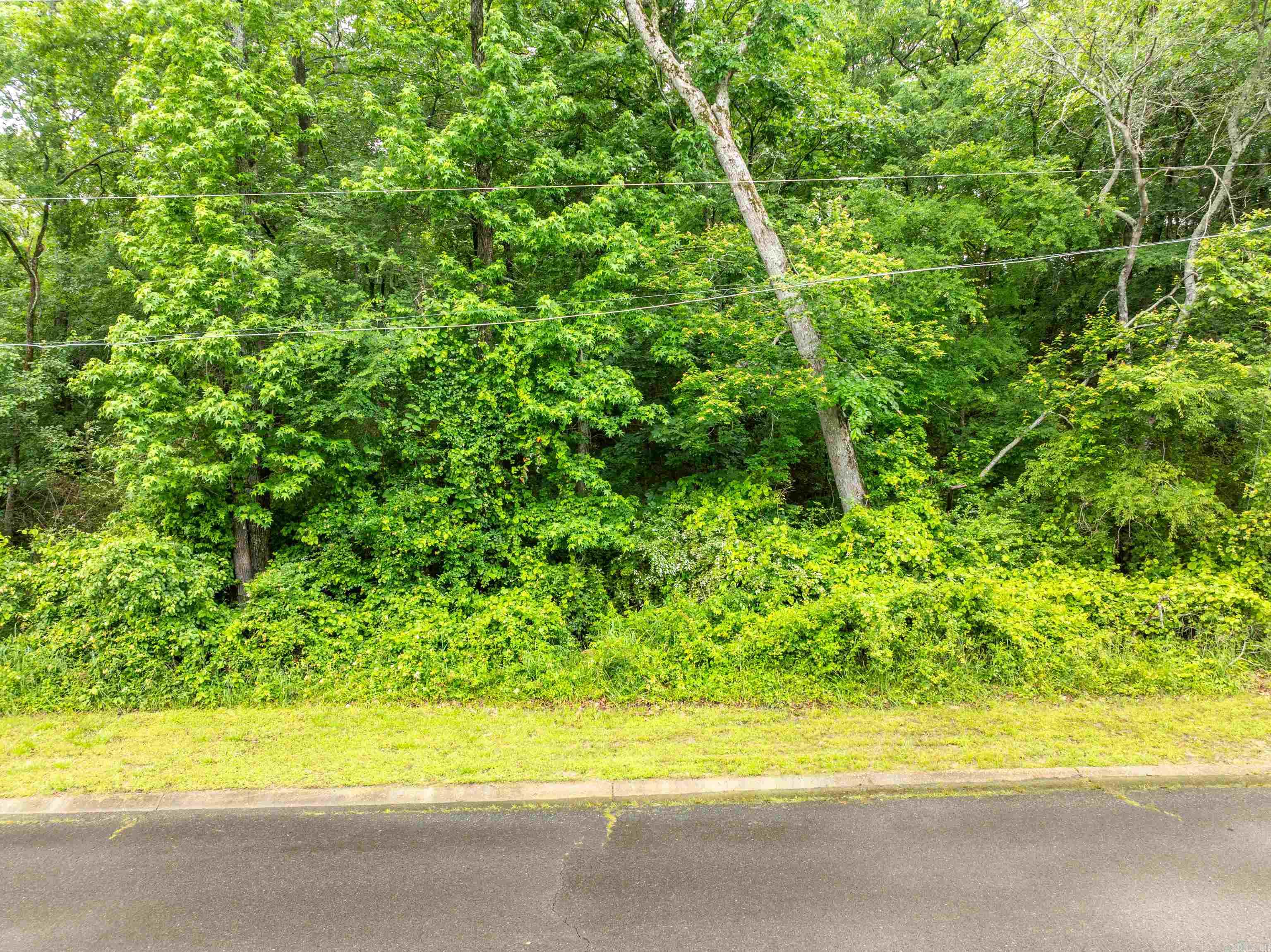 Lots 12 & 13  Apache  Hot Springs, AR