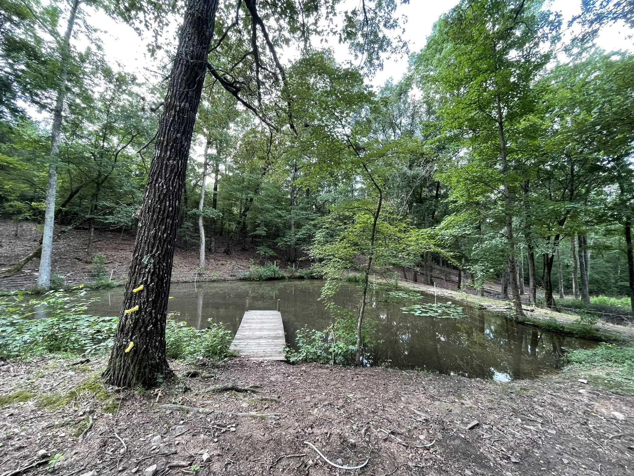 1506 Polk Road 74 Mena, AR 71953