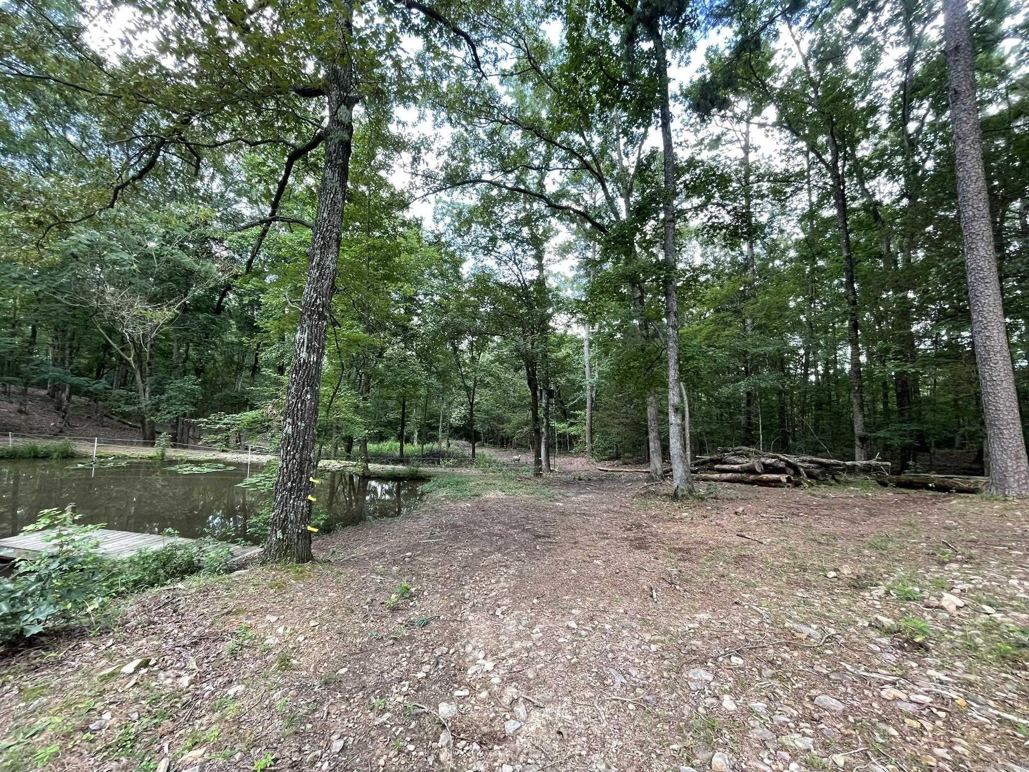1506 Polk Road 74 Mena, AR 71953