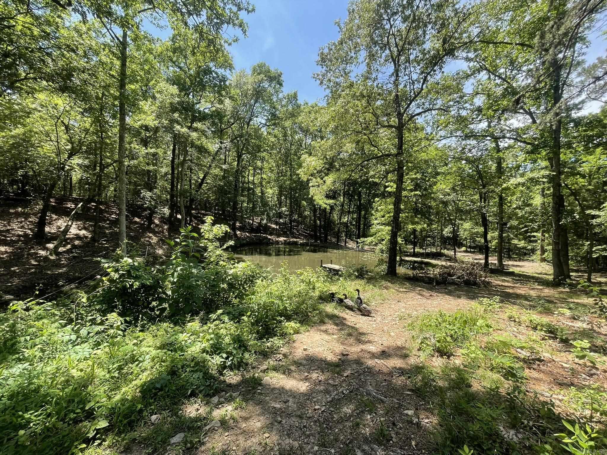 1506  Polk Road 74  Mena, AR