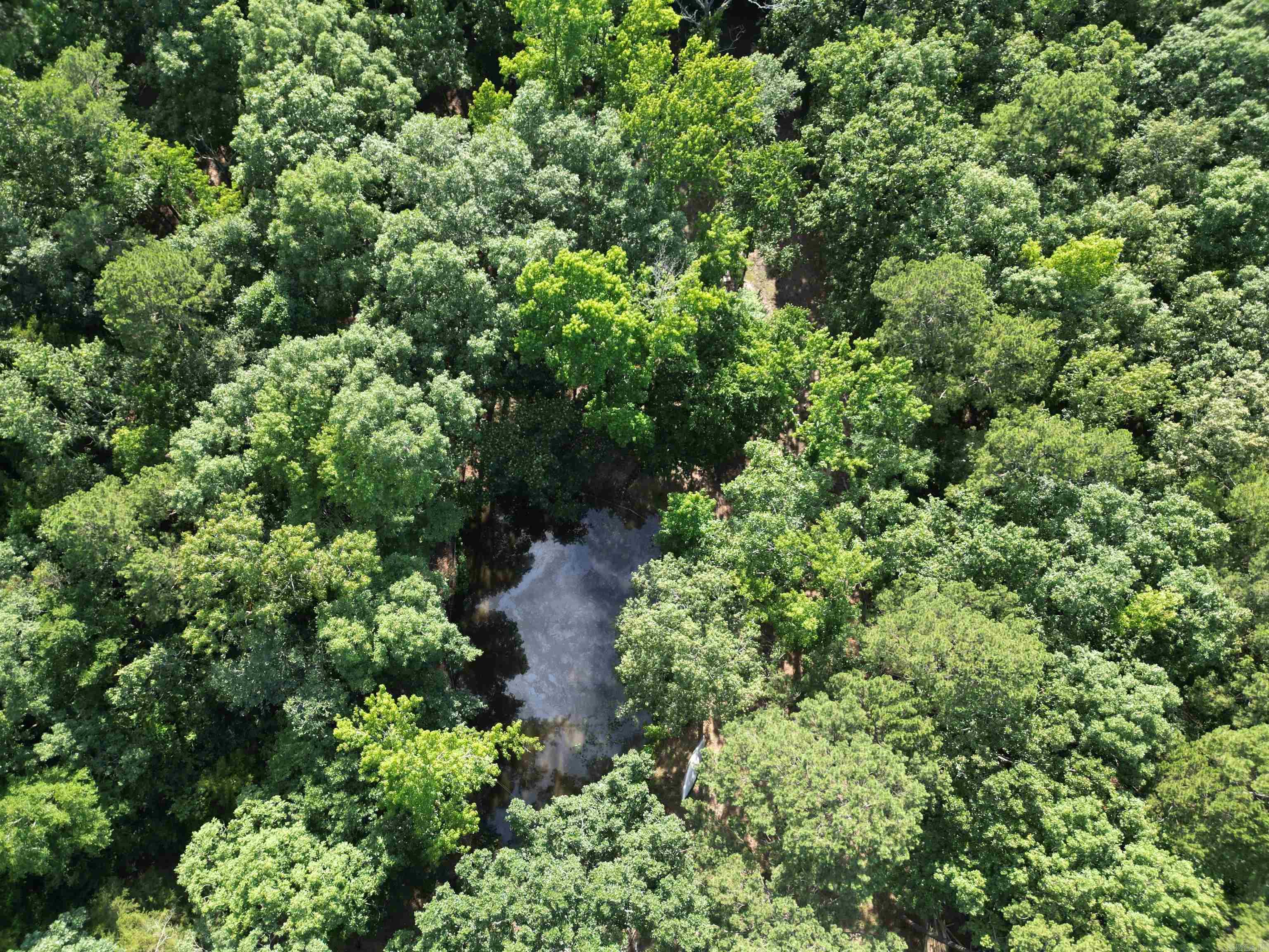 1506 Polk Road 74 Mena, AR 71953