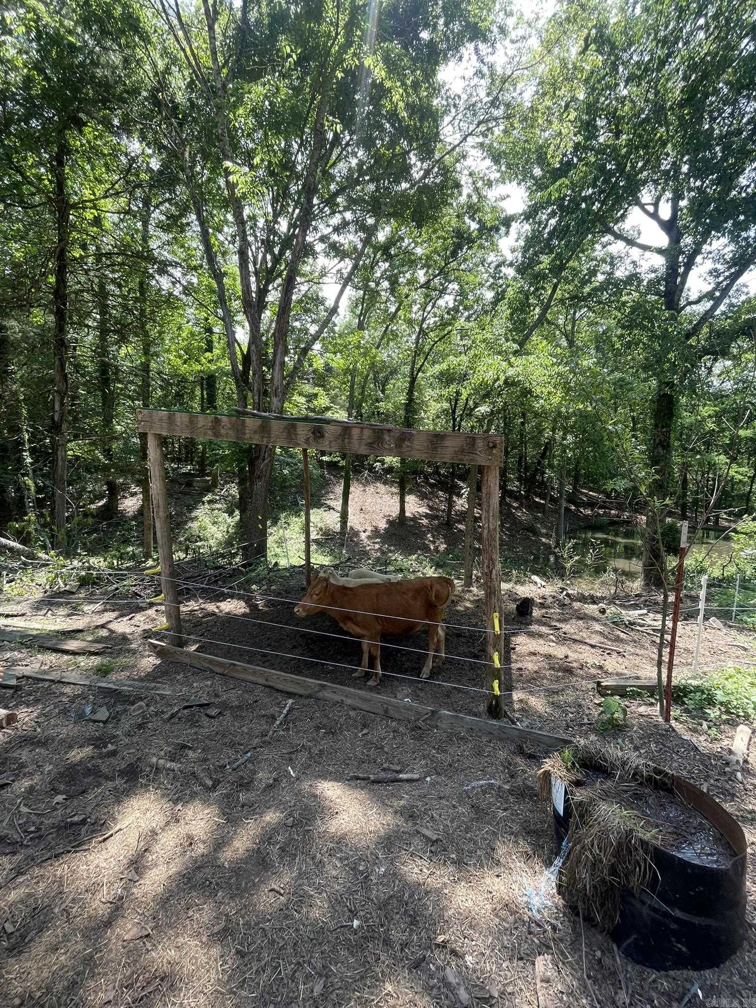 1506  Polk Road 74  Mena, AR