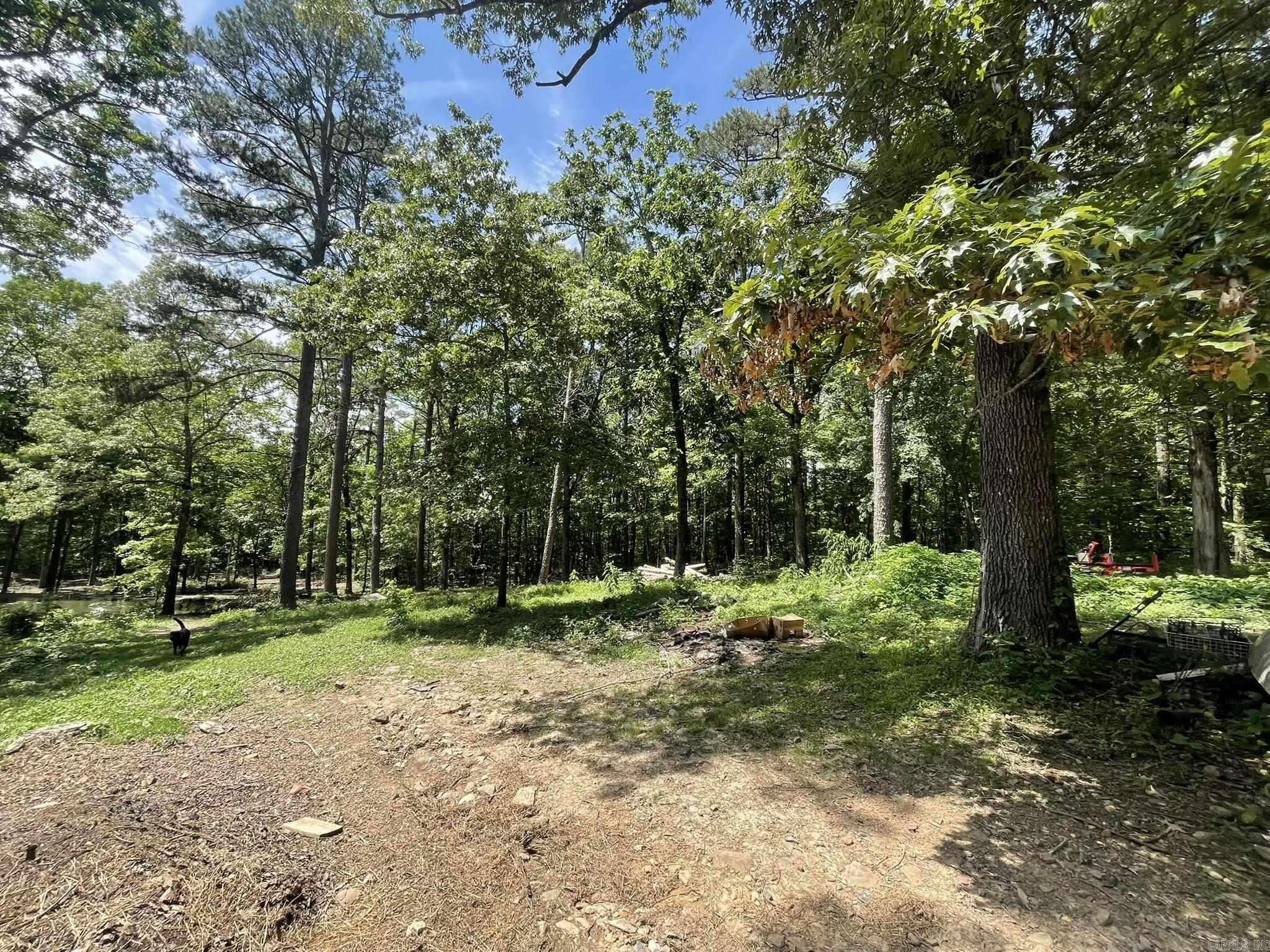 1506  Polk Road 74  Mena, AR
