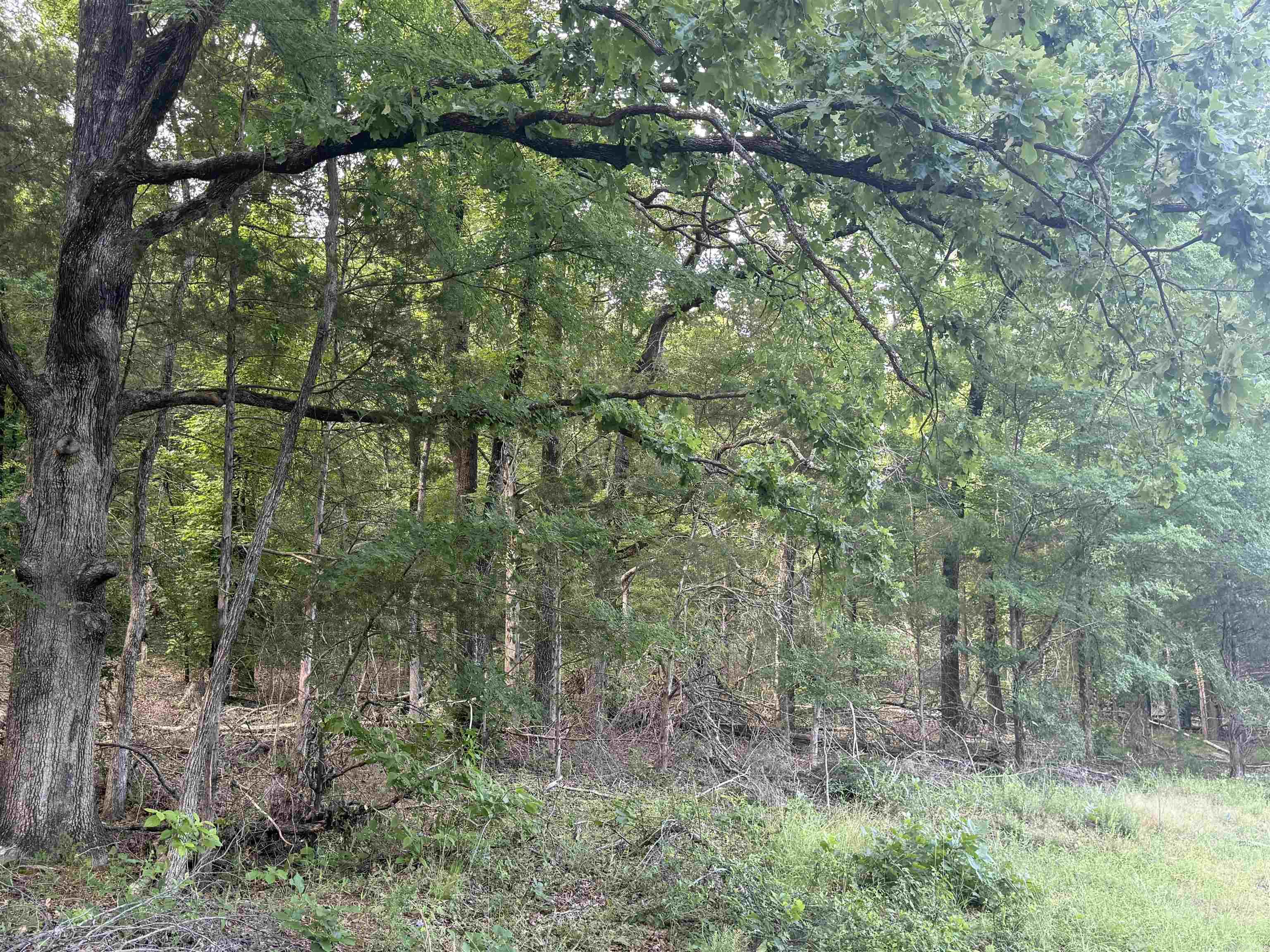 000  Brannon  Greenbrier, AR