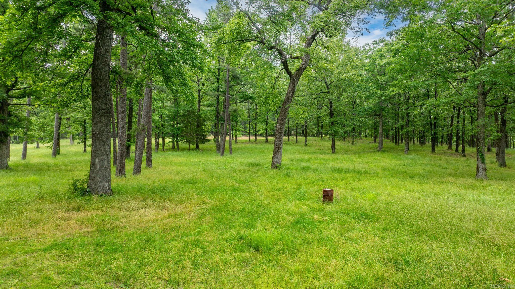 39700  Highway 10  Bigelow, AR