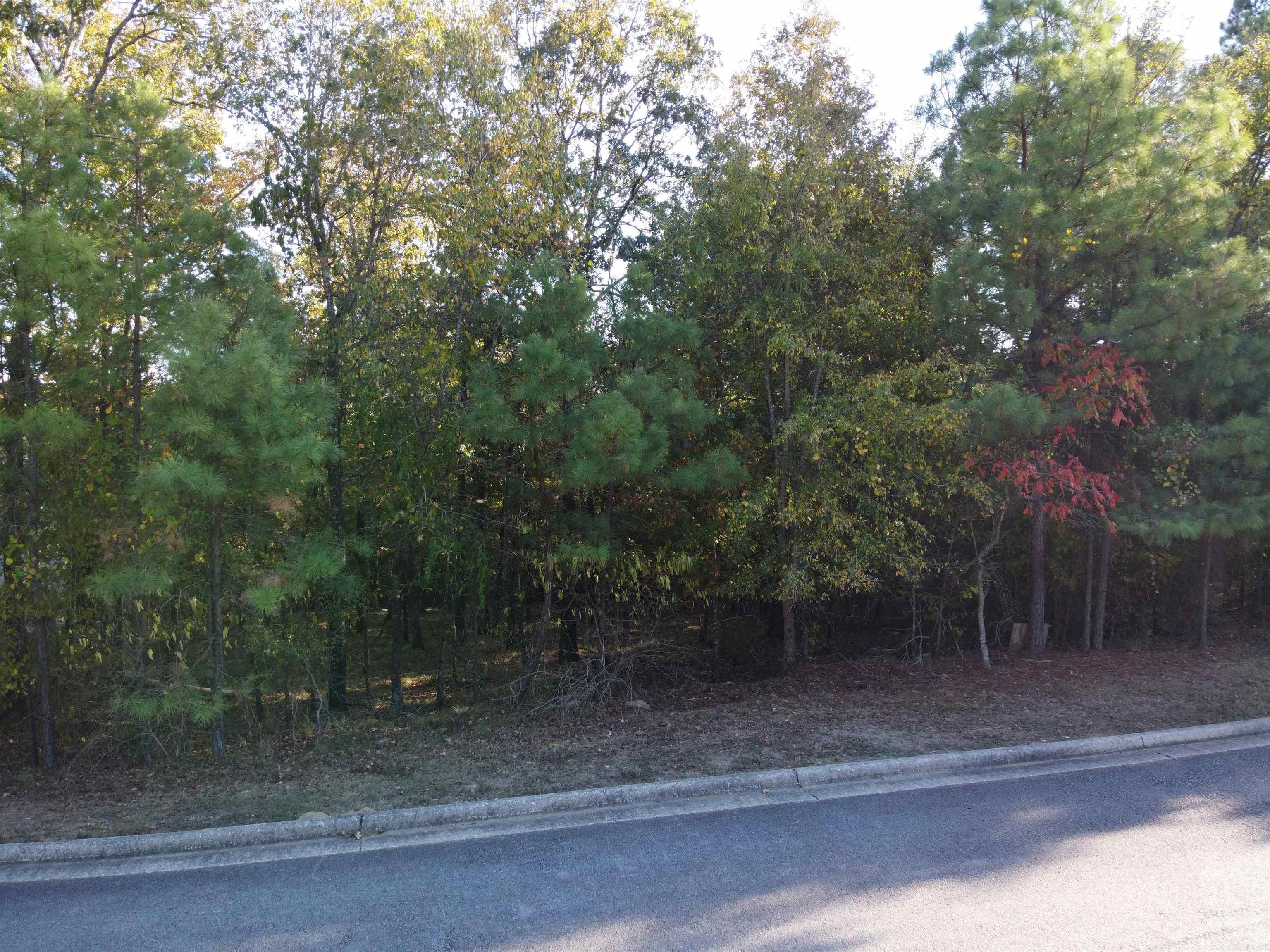 000  Dellmere  Hot Springs, AR