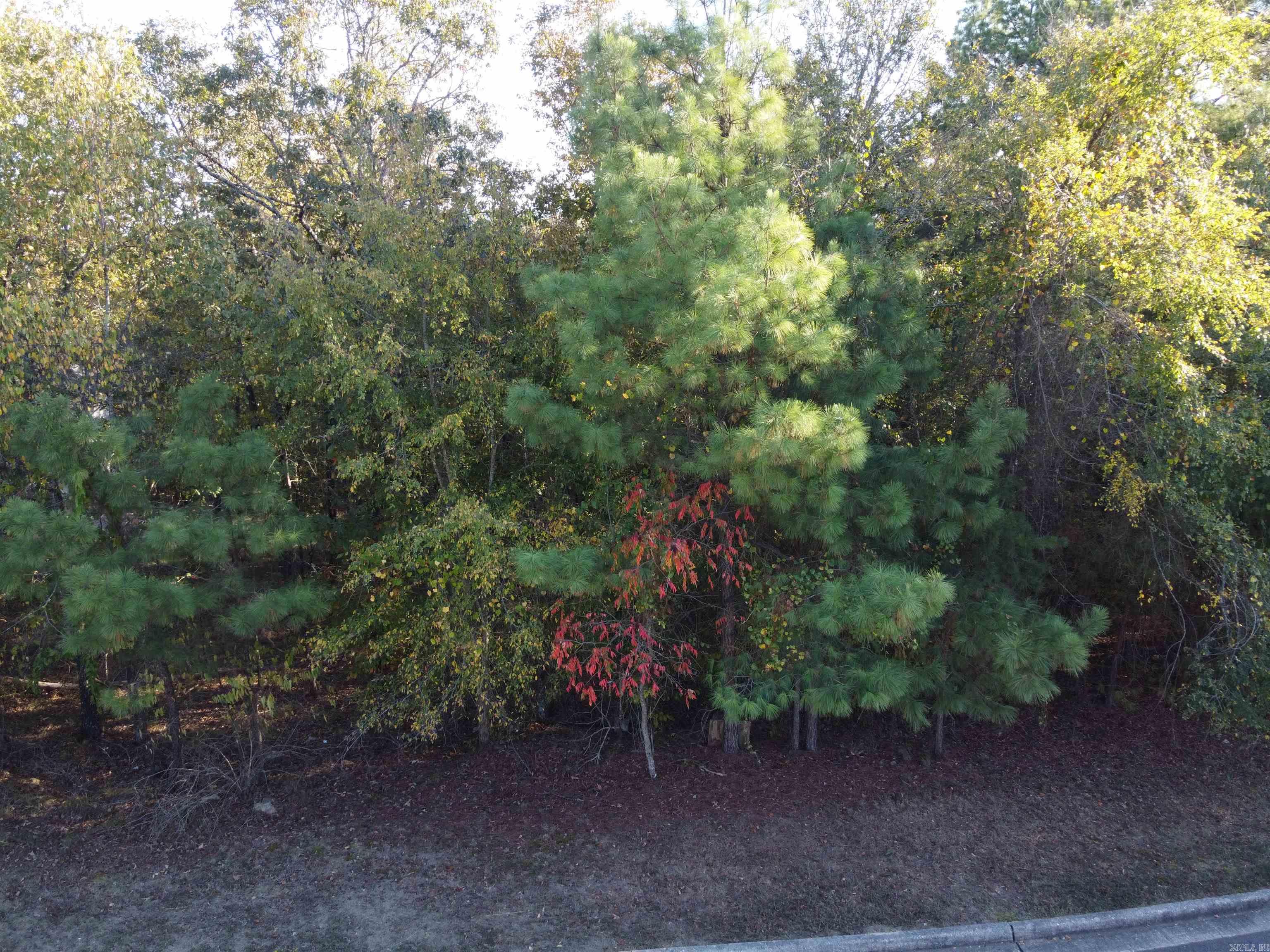 000  Dellmere  Hot Springs, AR