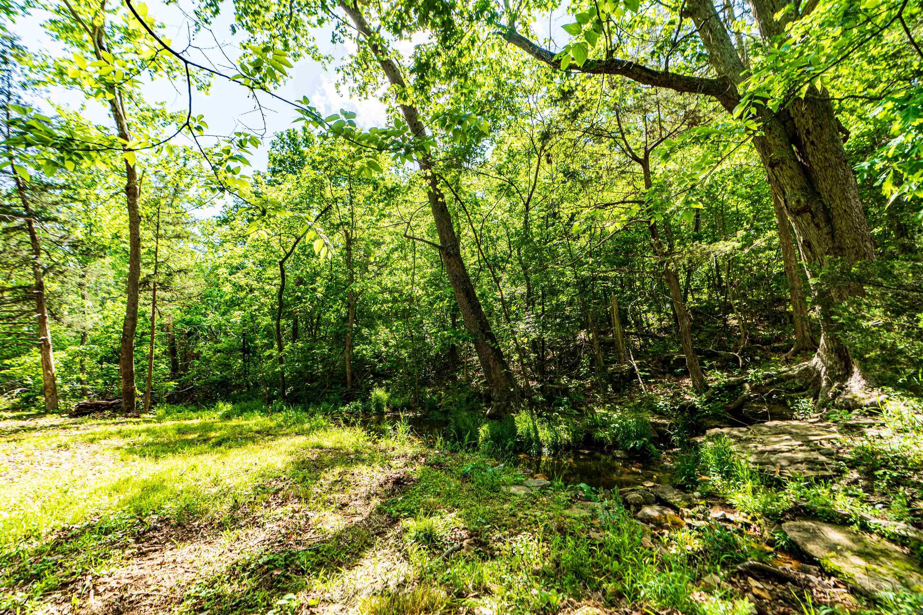 1958  MC 4042  Yellville, AR