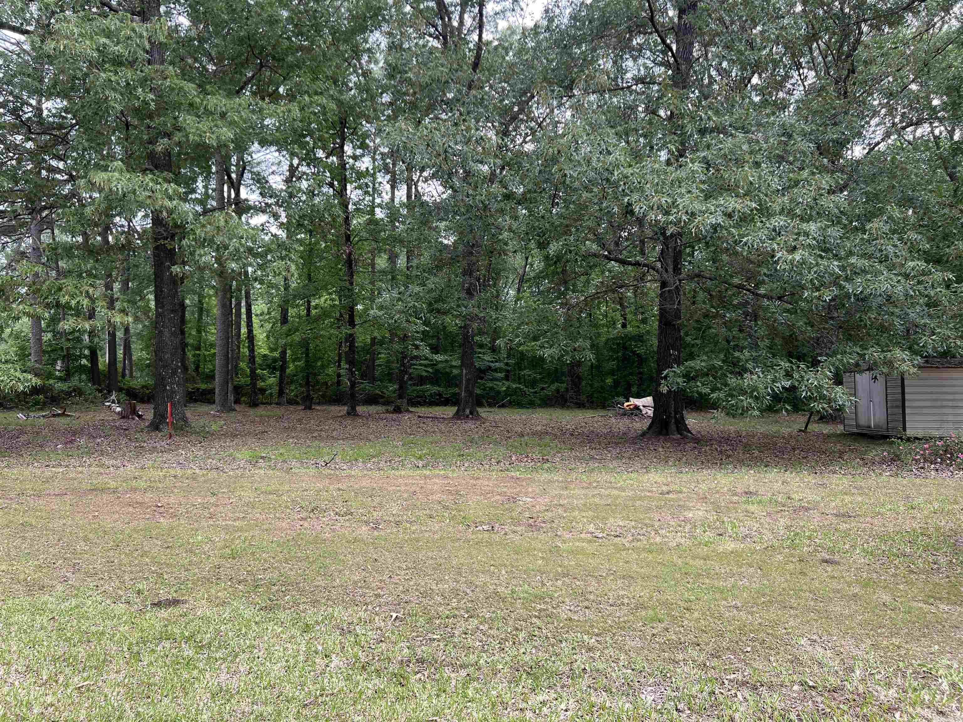 1701  Dixon  Pine Bluff, AR