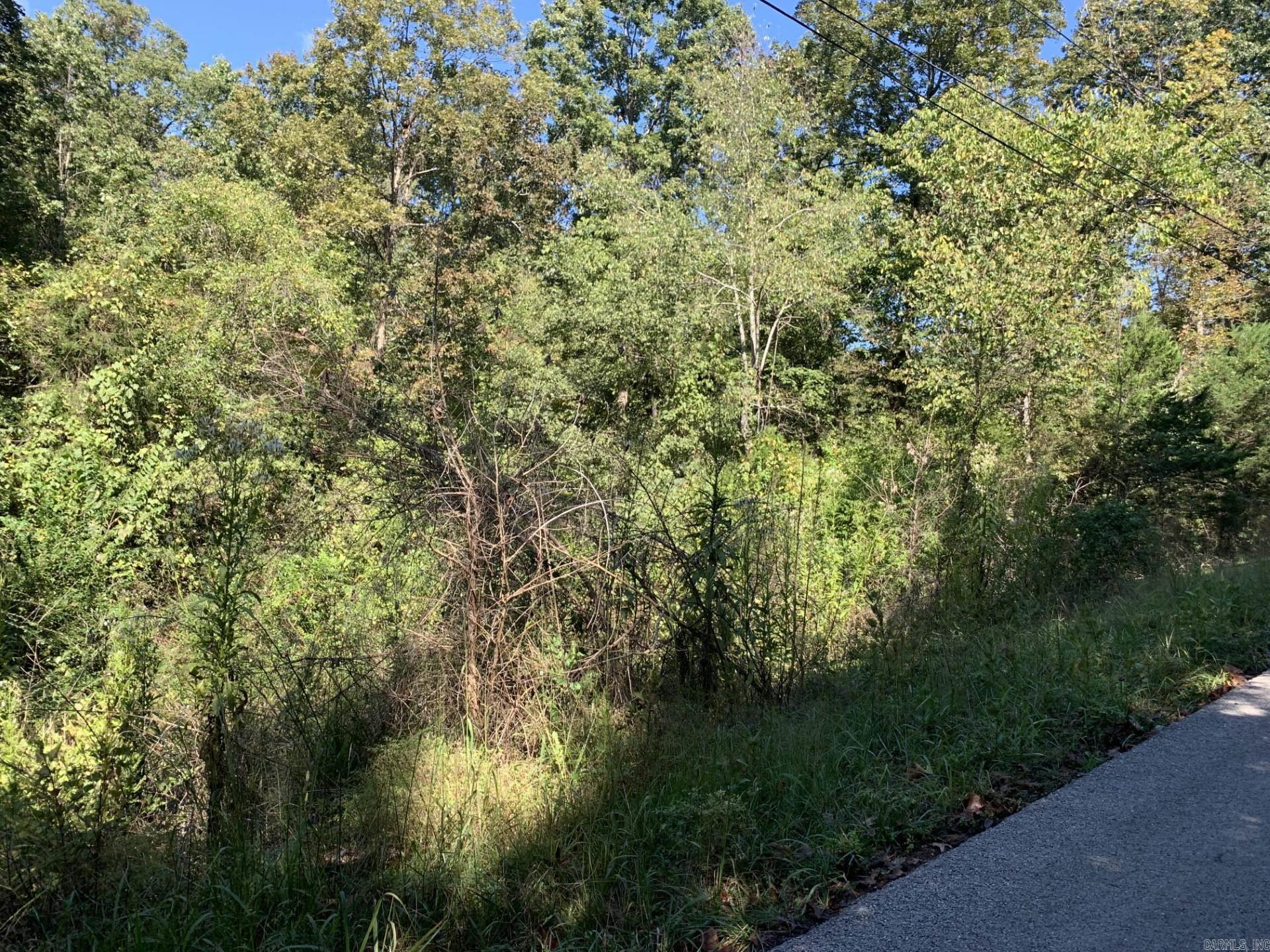 Lot 16 and 17  South  Midway, AR