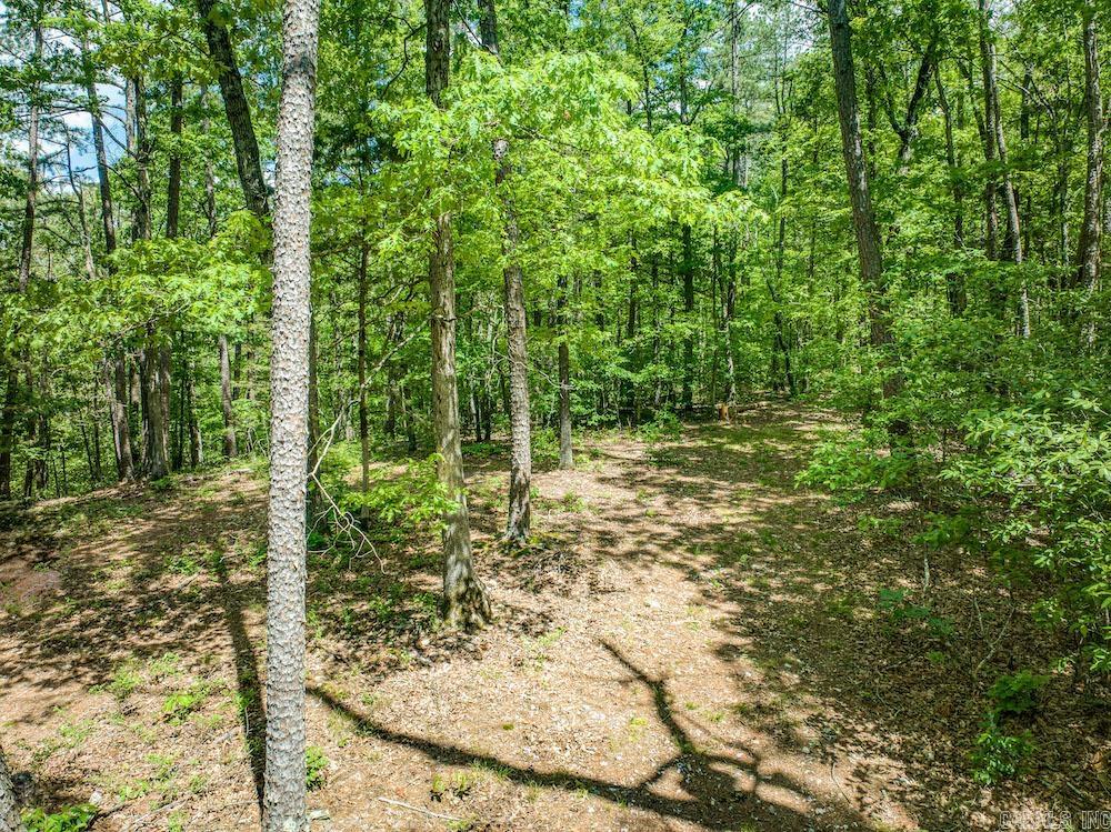   CR 4905  Mount Judea, AR