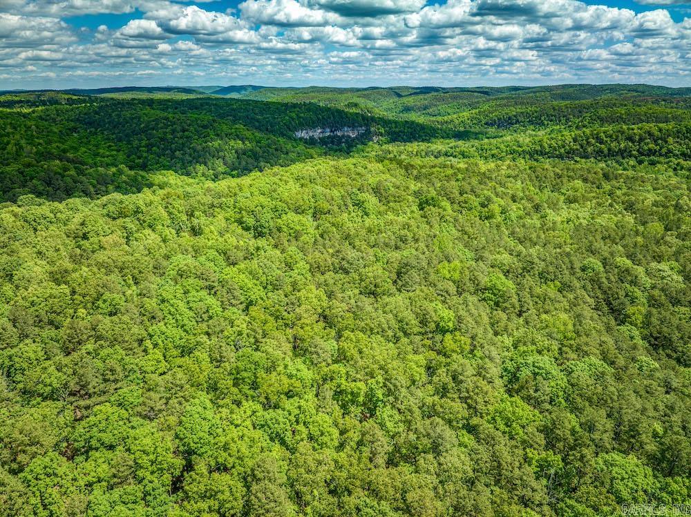   CR 4905  Mount Judea, AR