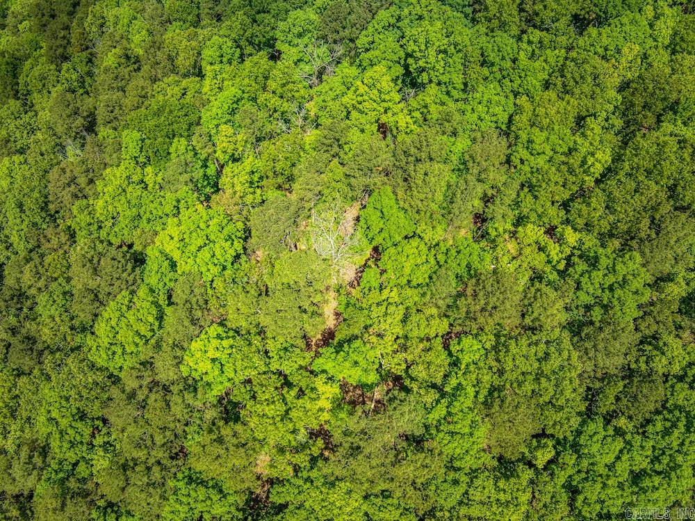   CR 4905  Mount Judea, AR