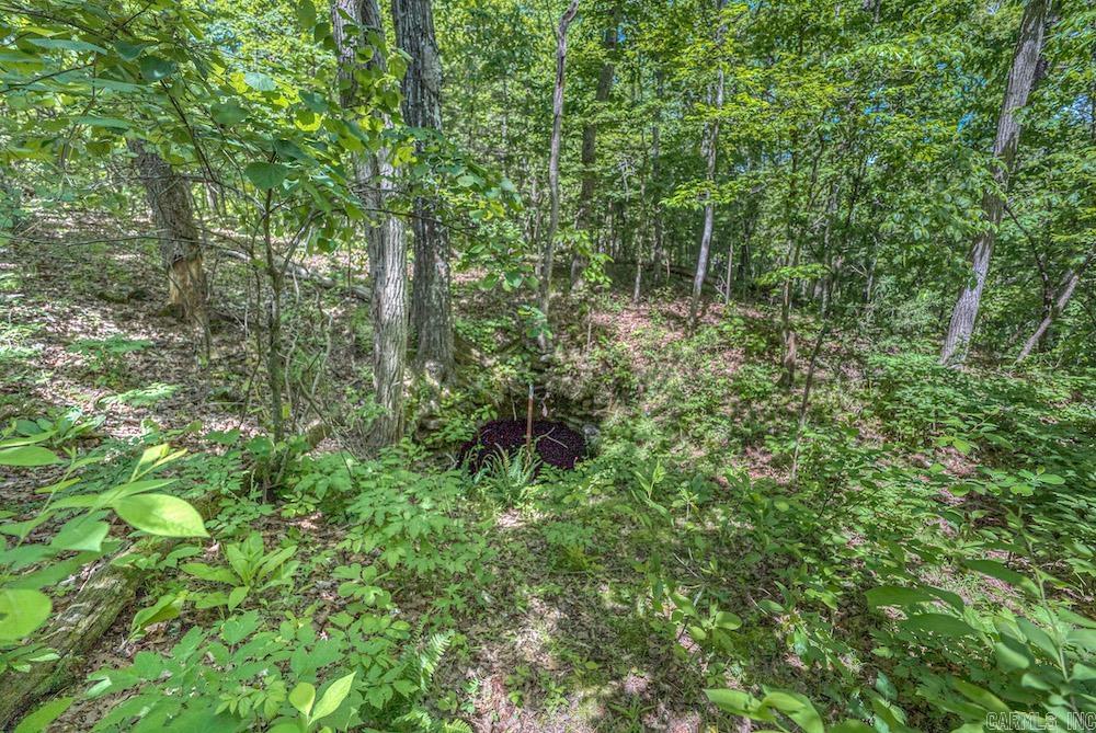   CR 4905  Mount Judea, AR