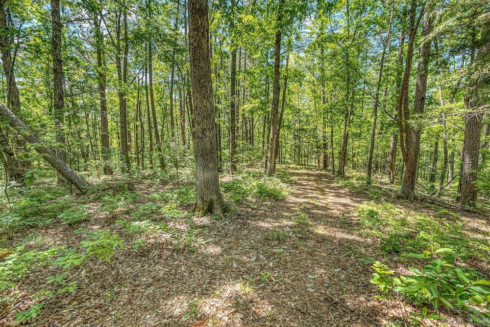   CR 4905  Mount Judea, AR