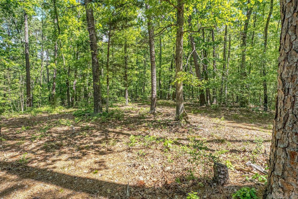   CR 4905  Mount Judea, AR