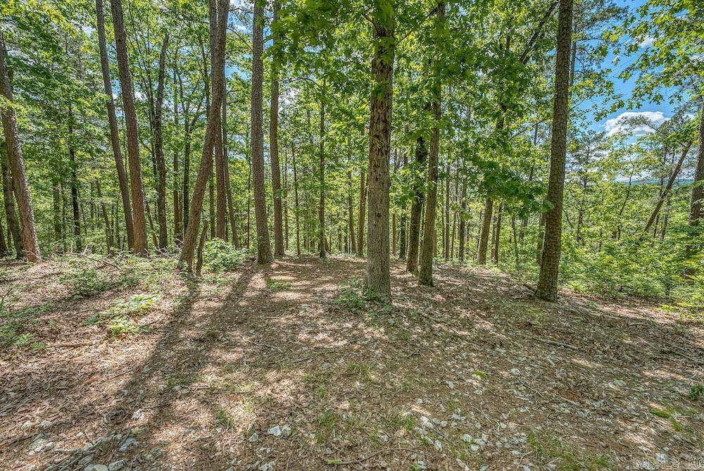   CR 4905  Mount Judea, AR