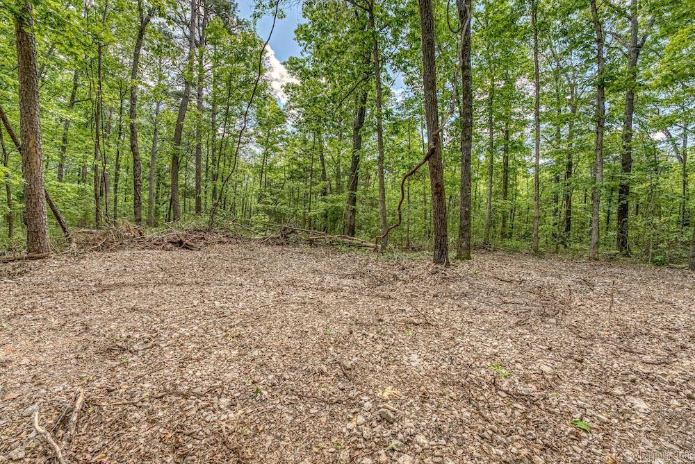   CR 4905  Mount Judea, AR
