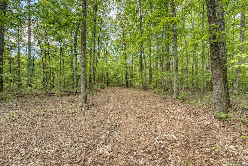   CR 4905  Mount Judea, AR