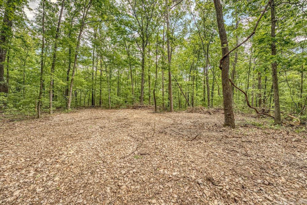   CR 4905  Mount Judea, AR