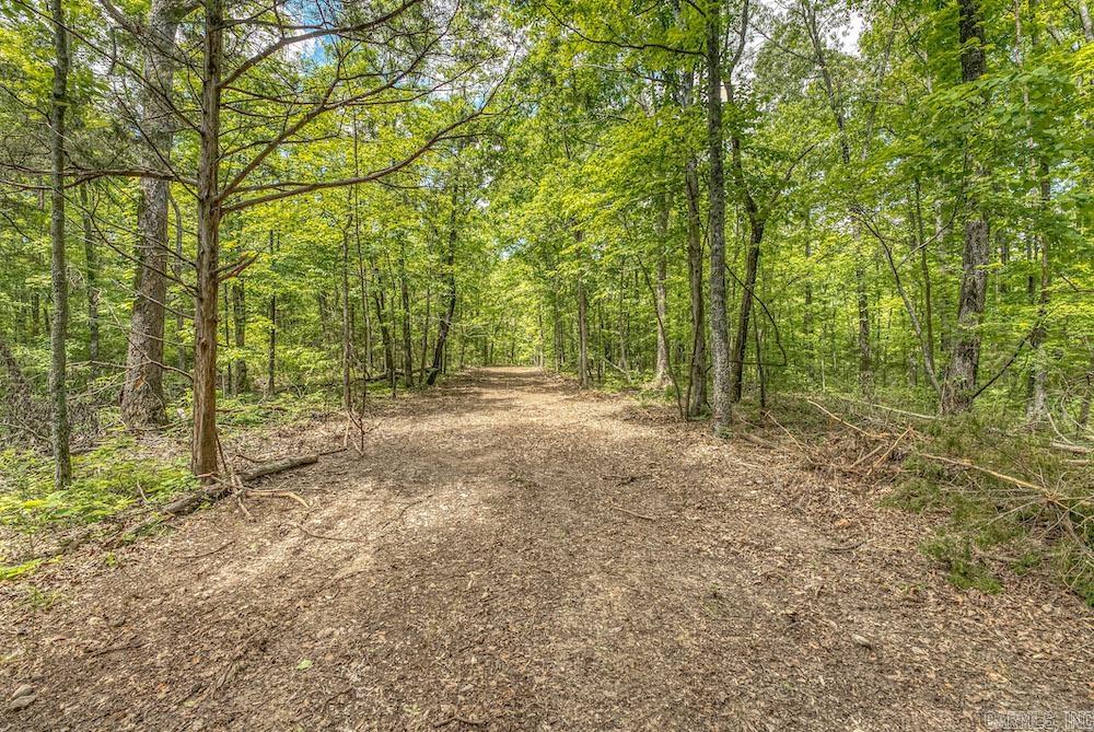   CR 4905  Mount Judea, AR
