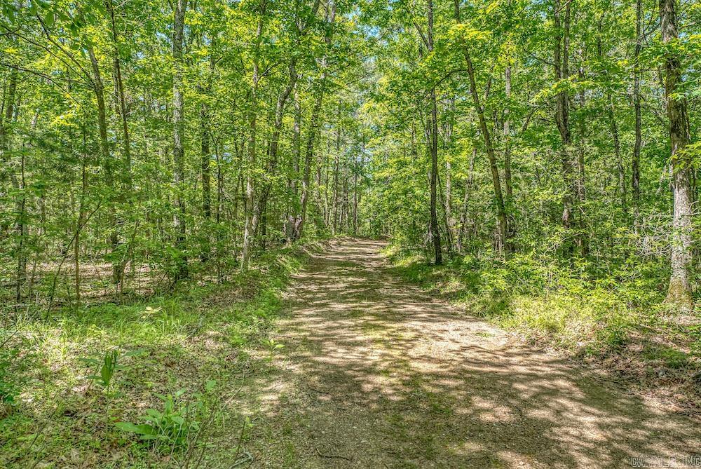   CR 4905  Mount Judea, AR