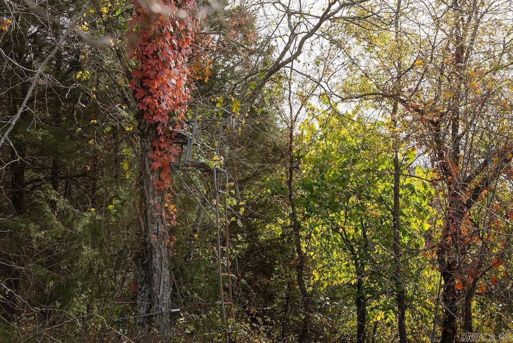   CR 663  Oak Grove, AR