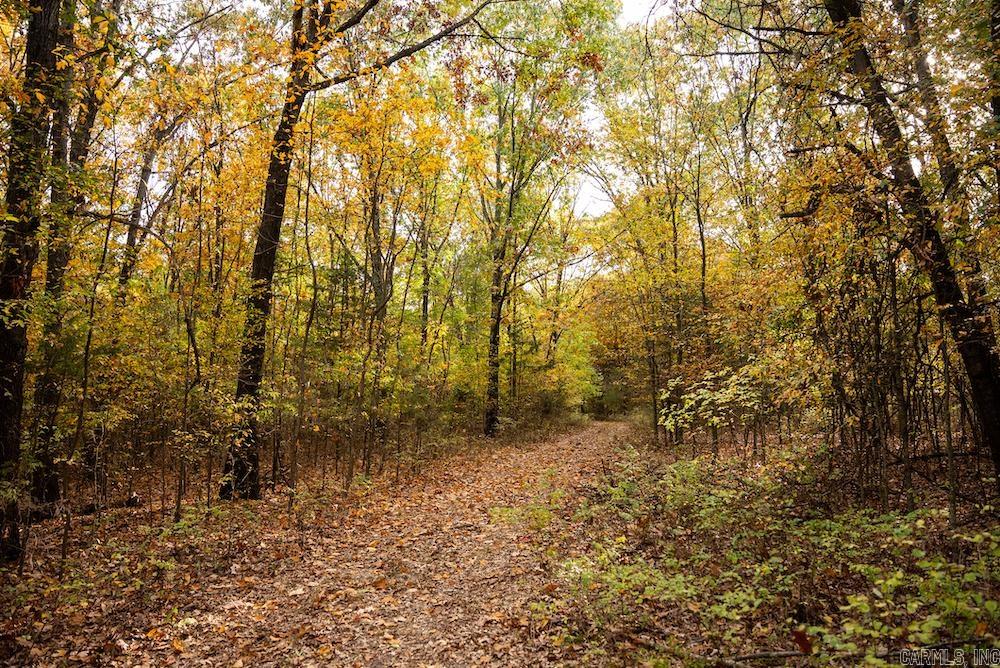   CR 663  Oak Grove, AR