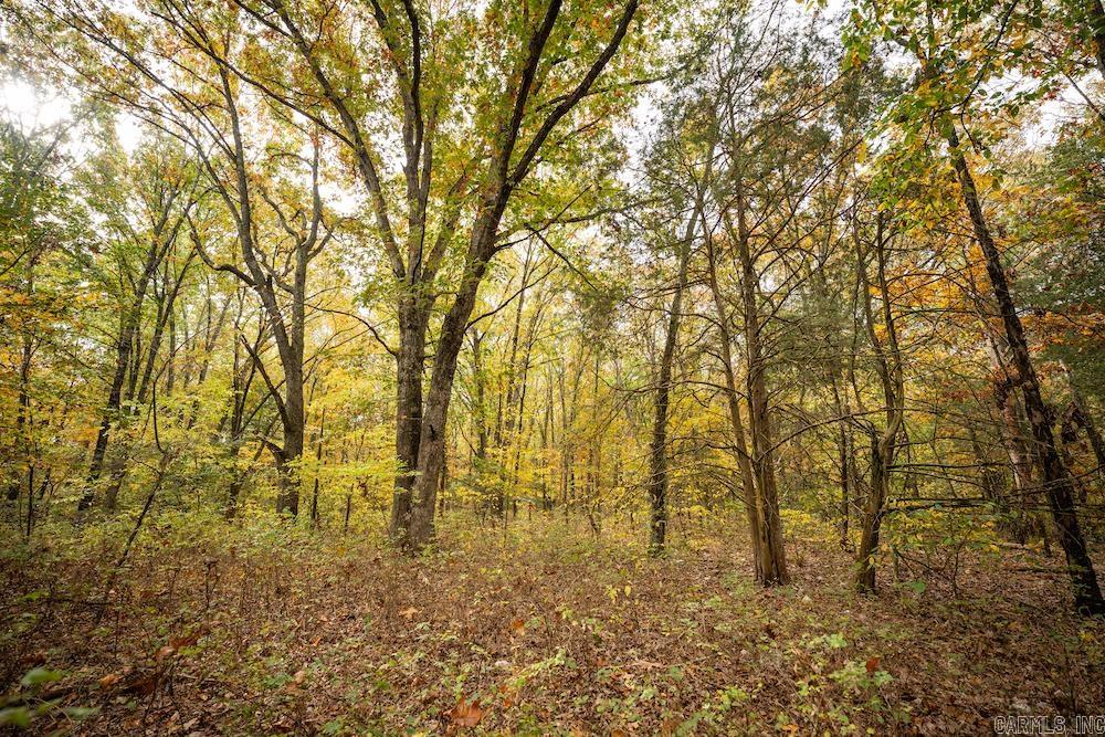   CR 663  Oak Grove, AR