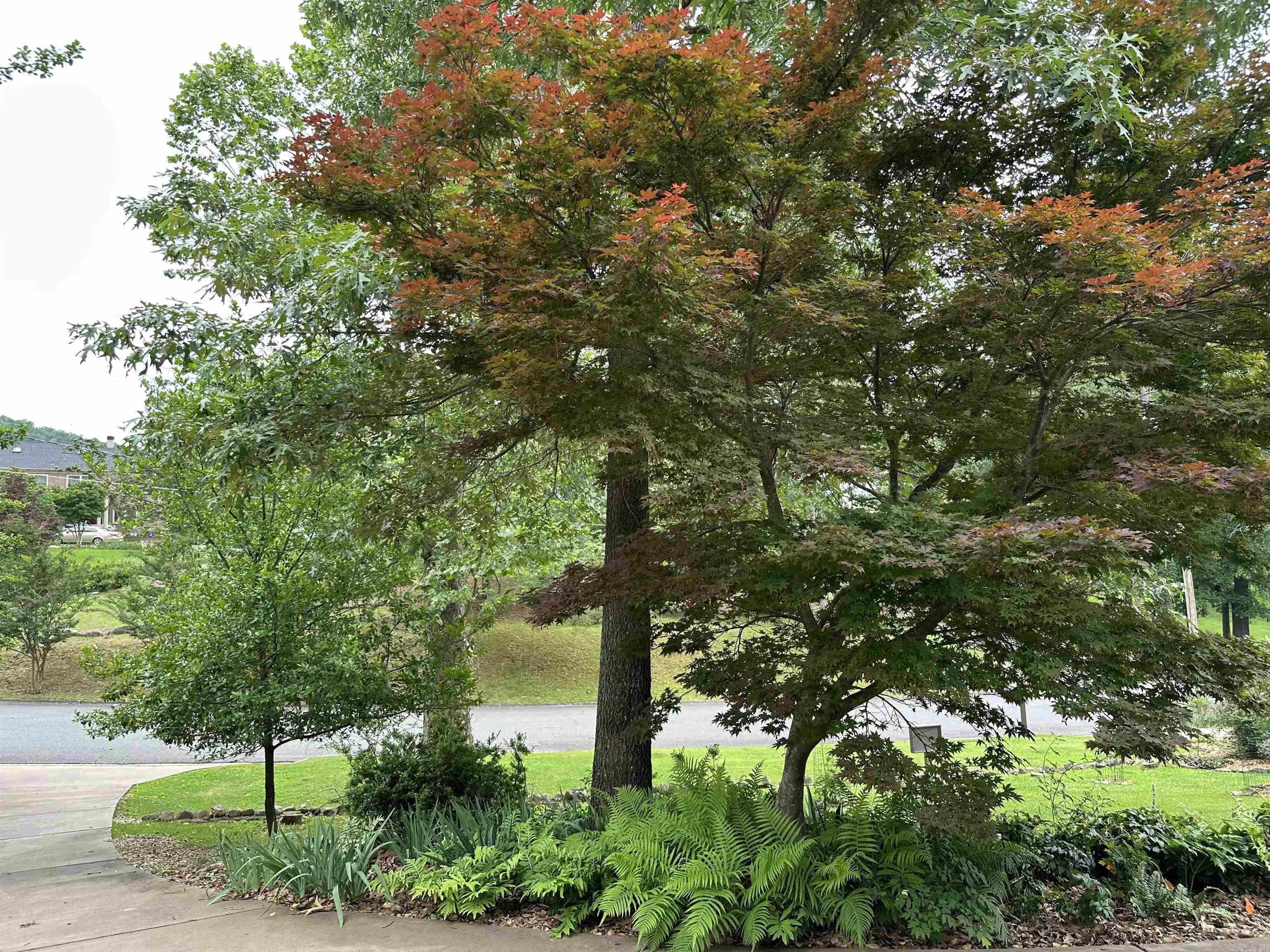 126  Circle  Hot Springs National Park, AR