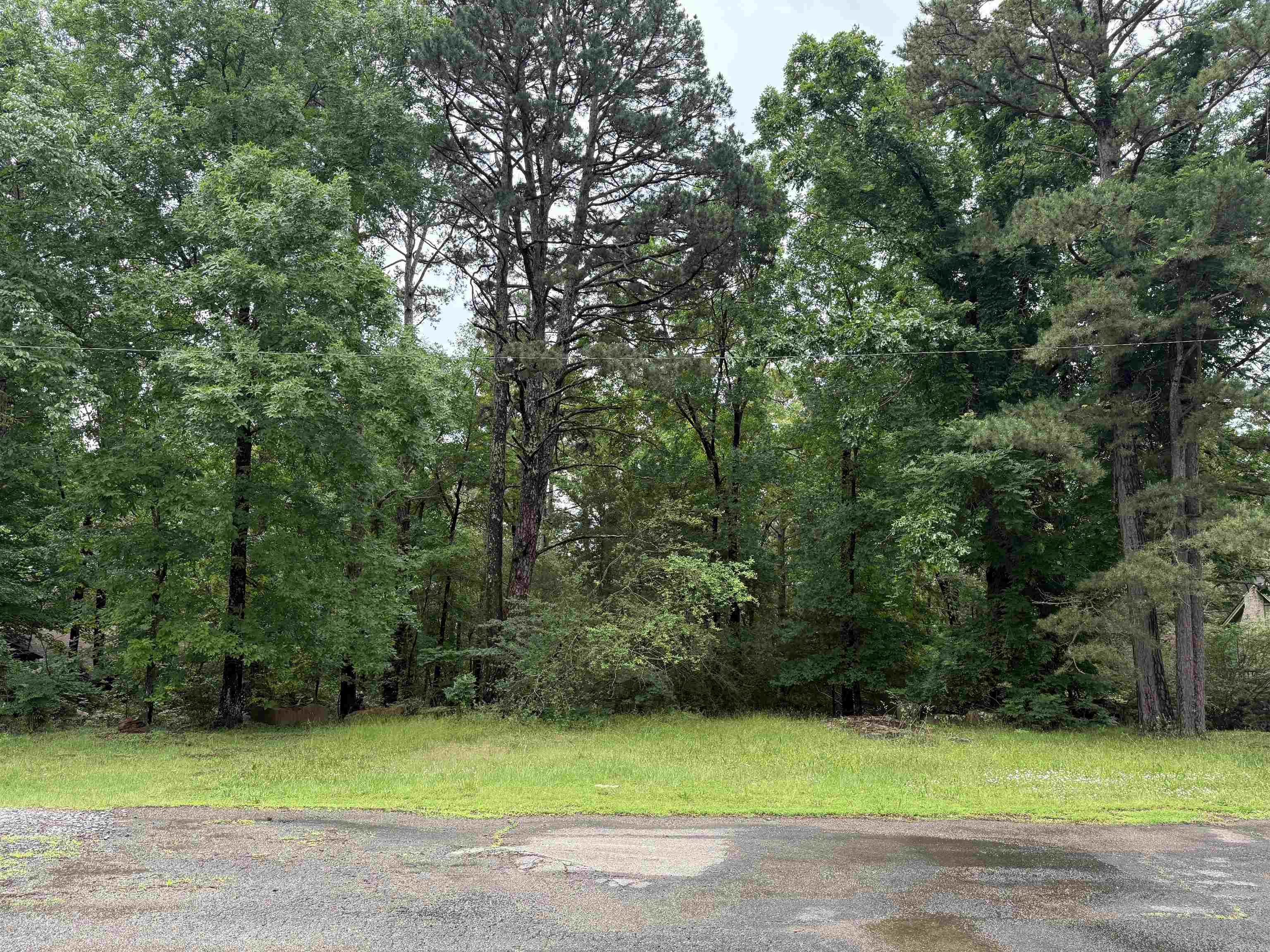Lots 3 & 4  Block 6 Glenwood Addition  Heber Springs, AR