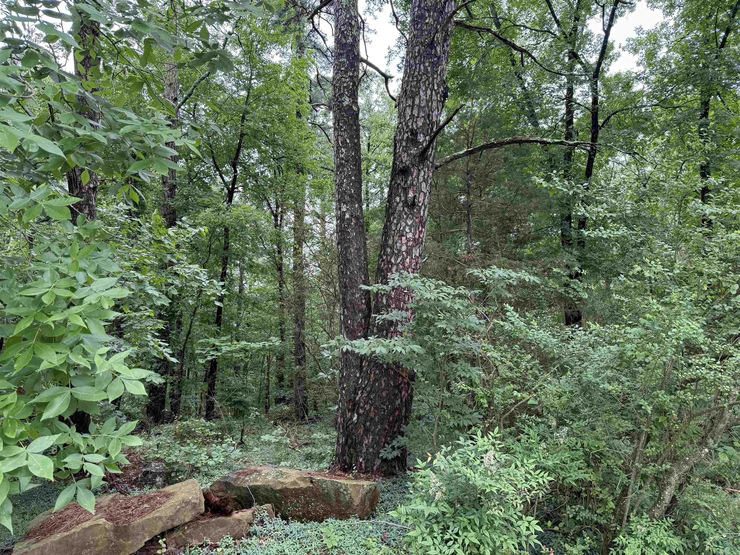 Lots 3 & 4  Block 6 Glenwood Addition  Heber Springs, AR