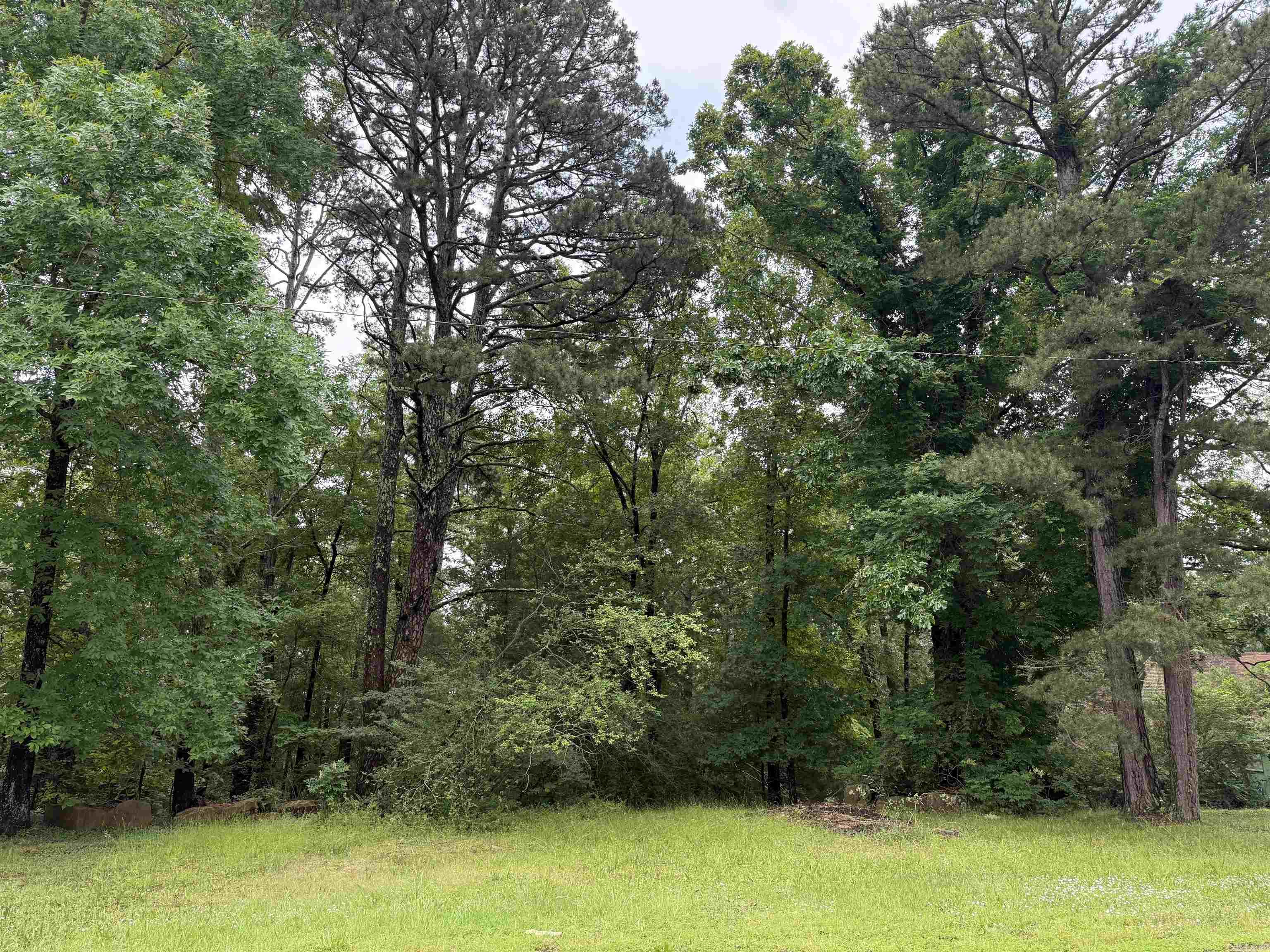 Lots 3 & 4  Block 6 Glenwood Addition  Heber Springs, AR