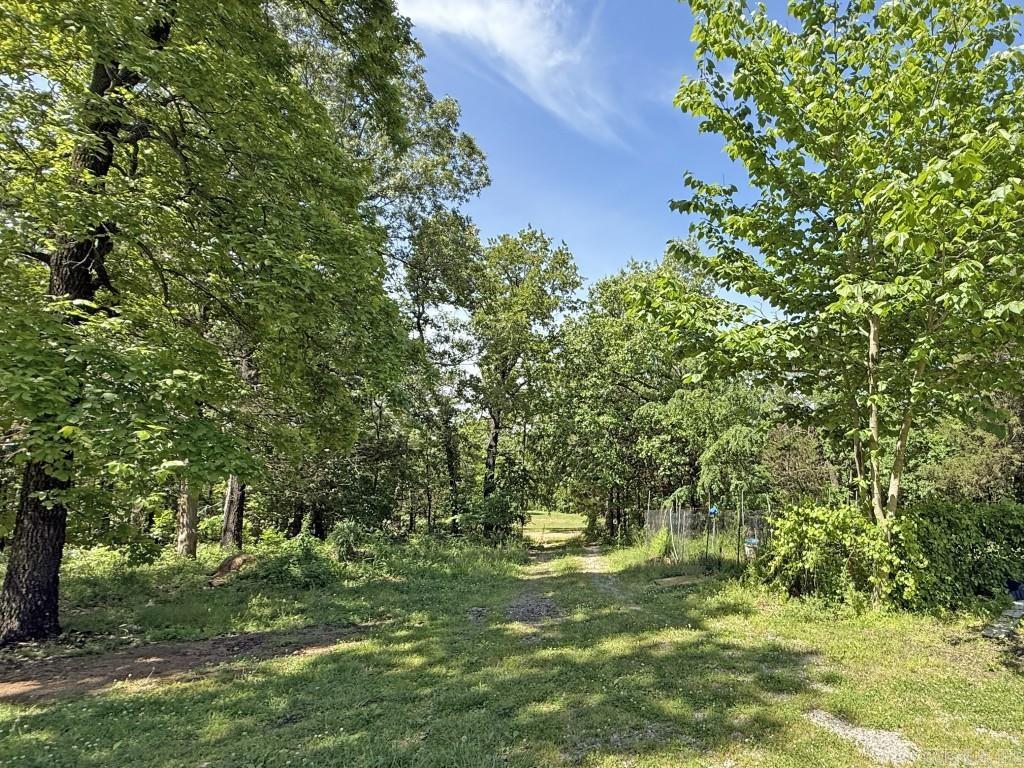 1427  Woodland  Cave City, AR