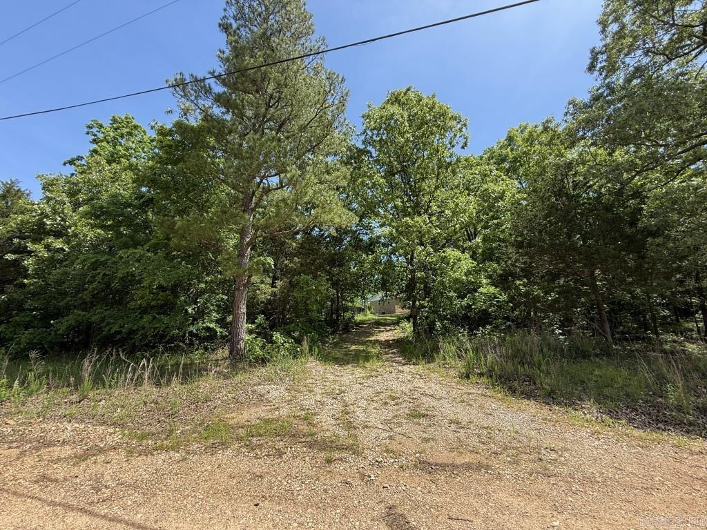 1427  Woodland  Cave City, AR