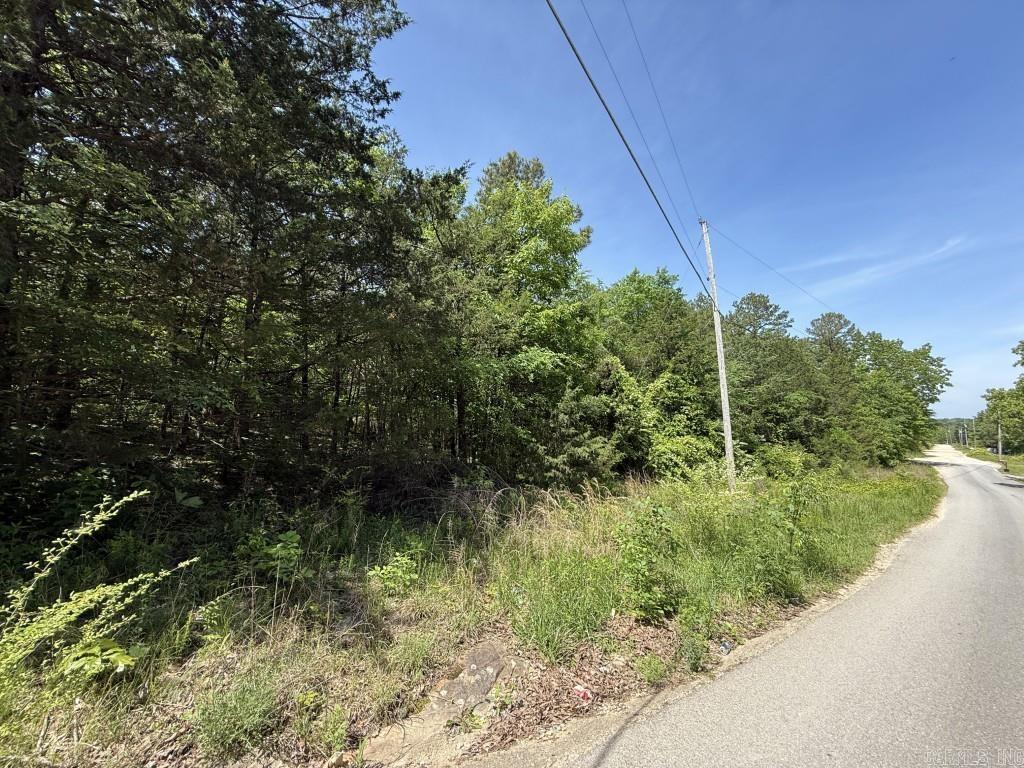 1427  Woodland  Cave City, AR