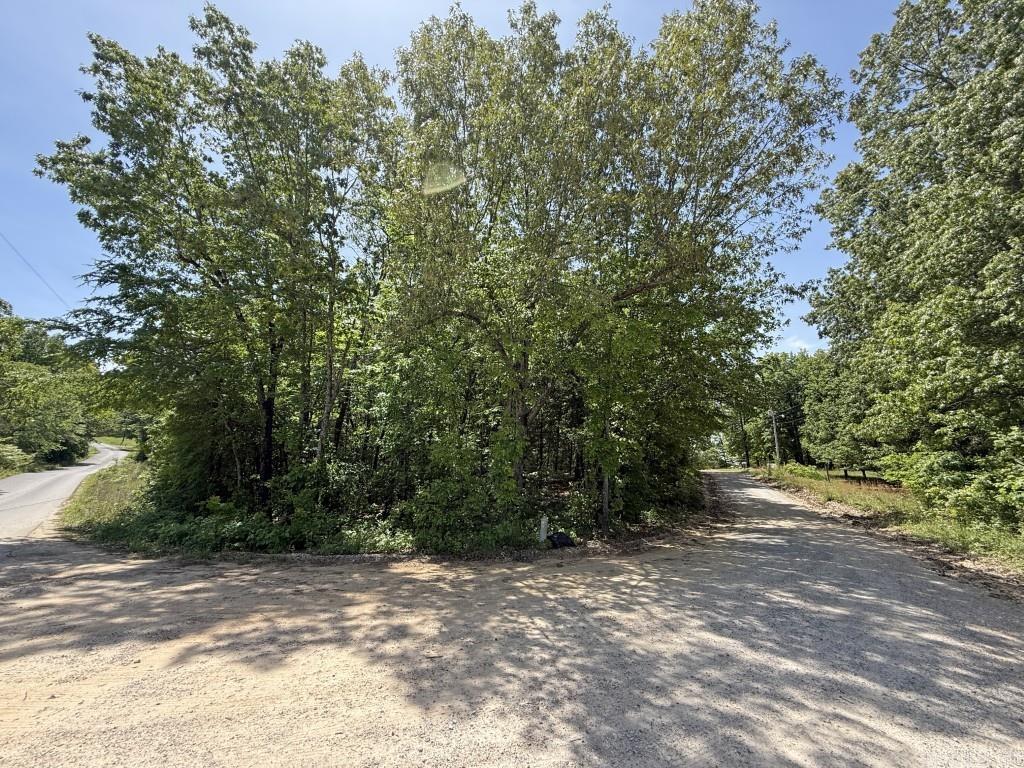 1427  Woodland  Cave City, AR