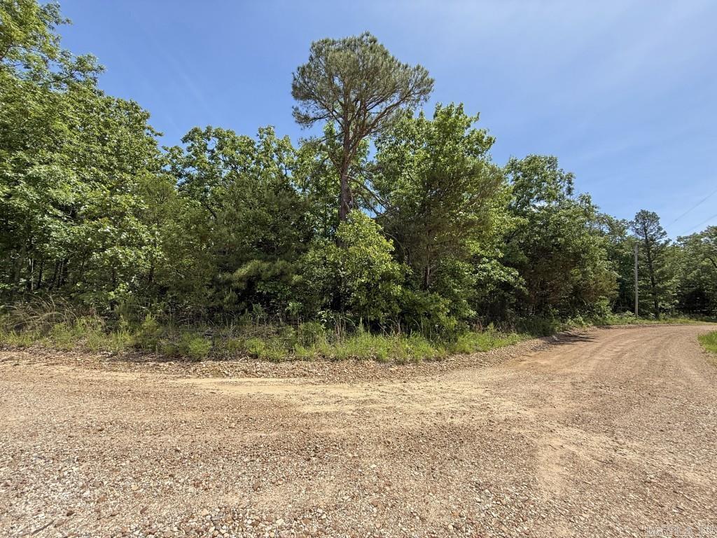 1427  Woodland  Cave City, AR