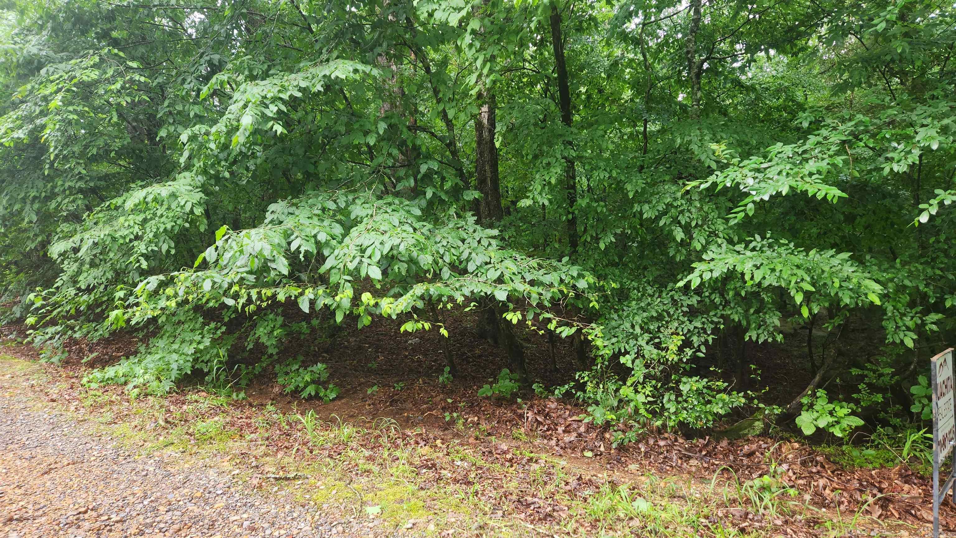 TBD  Overcrest Dr  Sims, AR