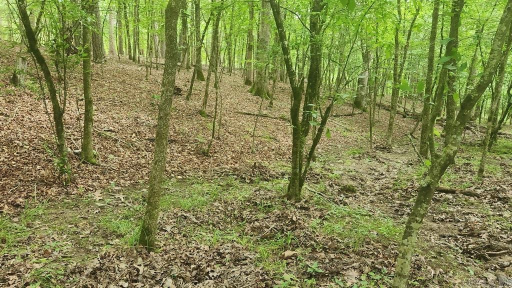 TBD  Overcrest Dr  Sims, AR