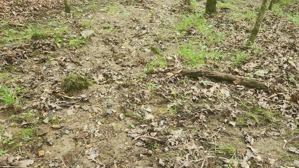 TBD  Overcrest Dr  Sims, AR