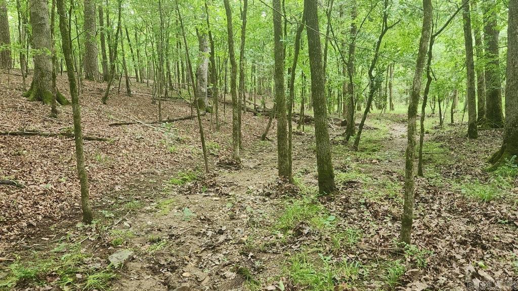 TBD  Overcrest Dr  Sims, AR